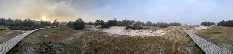 Landscape with hiking trails through the Western Pomerania Lagoon Area National Park. panorama, Darss-Zingster Boddenkette, Baltic Sea, peninsula, nature, autumn, nature reserve, Fischland-Darß-Zingst, Mecklenburg-Western Pomerania, Germany