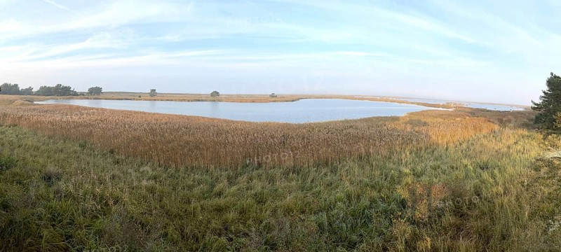 Lagoon landscape, Western Pomerania Lagoon Area National Park, Darss-Zingster Boddenkette, Baltic Sea, peninsula, nature, autumn, nature reserve, Fischland-Darß-Zingst, Mecklenburg-Western Pomerania, Germany