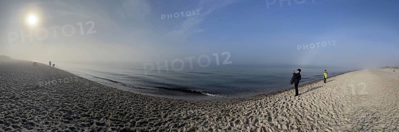 Panorama, beach in the Western Pomerania Lagoon Area National Park, Darss-Zingster Boddenkette, Baltic Sea, peninsula, nature, autumn, nature reserve, Fischland-Darß-Zingst, Mecklenburg-Western Pomerania, Germany