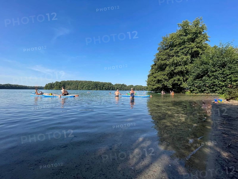 Schmaler Luzin, Klarwassersee, bathing area near Carwitz, recreation, summer, Hullerbusch and Schmaler Luzin nature reserve, Feldberger Lake District, Mecklenburg-Western Pomerania, Germany