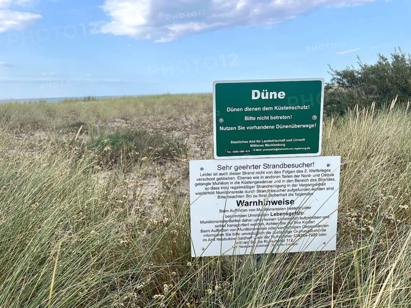 Dune, dune landscape near Nienhagen, protected, coastal protection, Baltic Sea coast, Rostock district, Mecklenburg-Western Pomerania, Germany