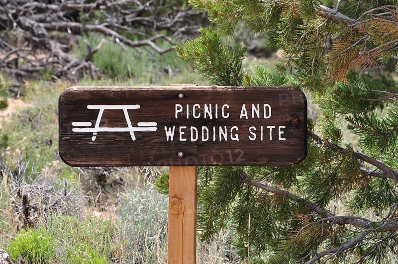 Picnic and wedding spot sign between trees, Grand Canyon National Park, Arizona, USA