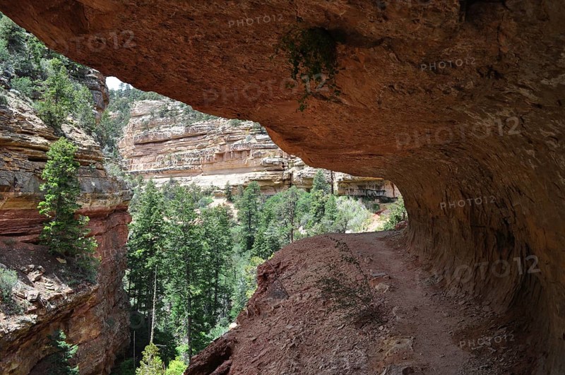 Hiking trail under an overhang with views of green trees and rock walls, Grand Canyon National Park, Arizona, USA