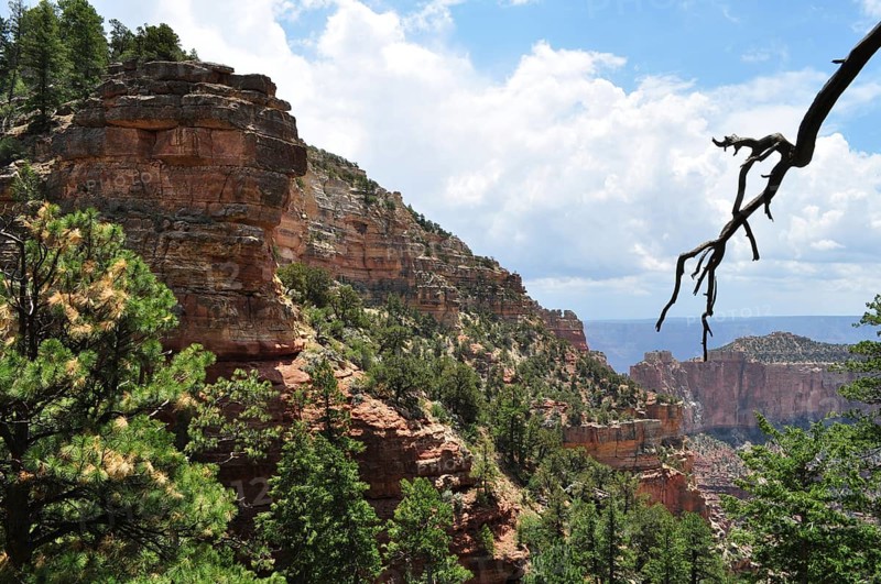 Impressive rocky landscape with green trees and vast views, Grand Canyon National Park, Arizona, USA