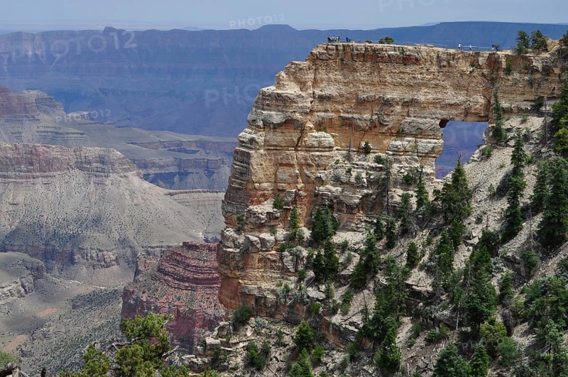 A natural rock arch stretches across an expansive, impressive canyon scene with trees, Grand Canyon National Park, Arizona, USA
