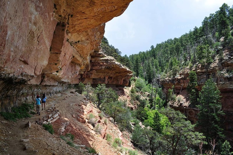 Hiker walking along steep and rocky canyon walls in green surroundings, Grand Canyon National Park, Arizona, USA