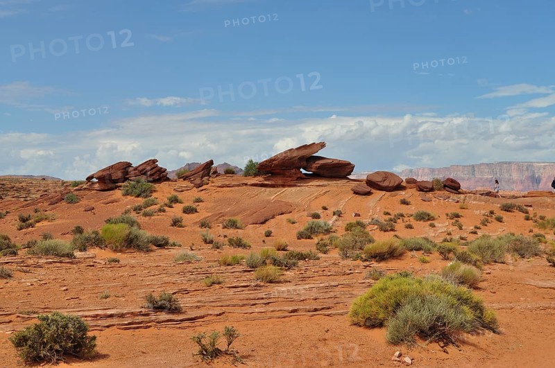 Desert landscape with red rock formations and sparse vegetation under a blue sky with clouds, Antelope Canyon, Navajo Nation Reservation, Lake Powell Tribal Park, Arizona, USA