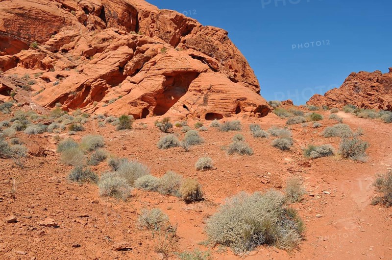 Red desert rocks and shrubs under a bright blue sky, Valley of Fire State Park, Nevada, USA