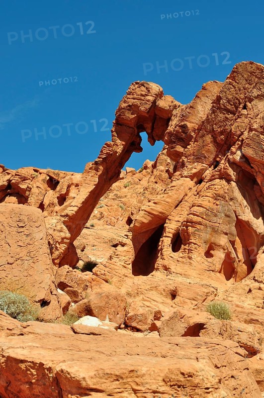 Close-up of the elephant bow, a remarkable rock formation in the desert, Valley of Fire State Park, Nevada, USA