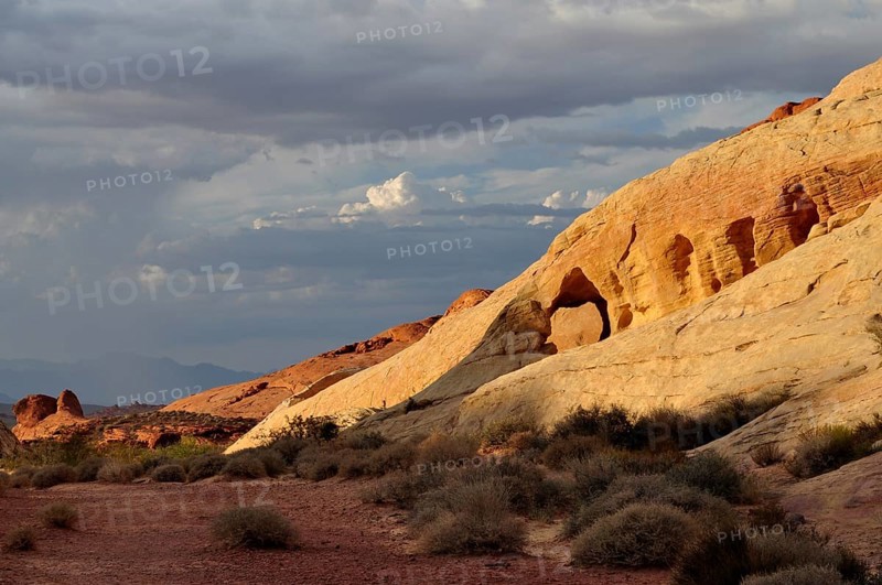 Landscape with yellow and red rocks and sparse vegetation in evening light, Valley of Fire State Park, Nevada, USA