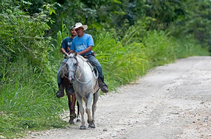 Guatemalan men wearing cowboy hats ride horses in Petén Department, Guatemala
