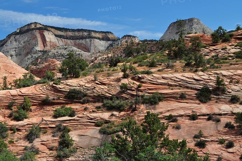 Ribbed rock structures with vegetation under a clear sky in a mountainous landscape, Zion National Park, Utah, USA