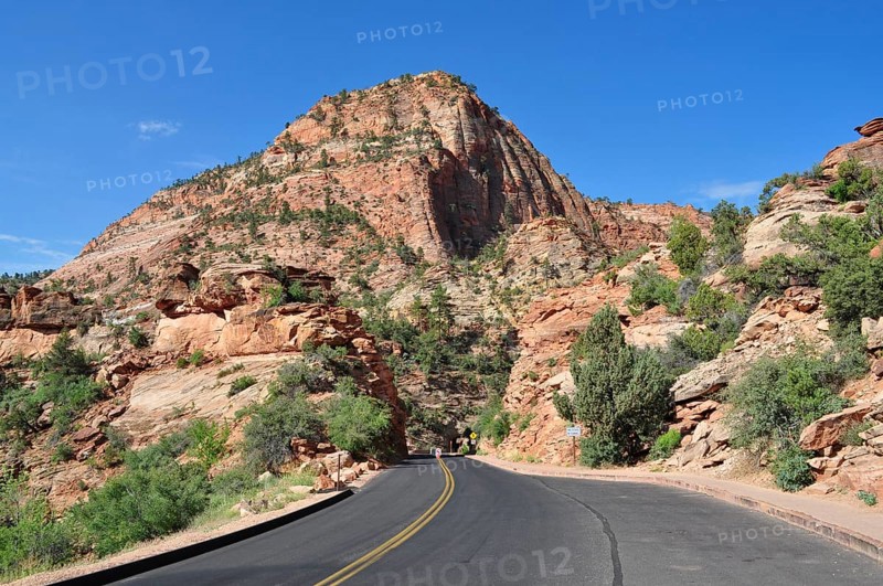 Road leads through red rocks into a picturesque mountain landscape under clear skies, Zion National Park, Utah, USA
