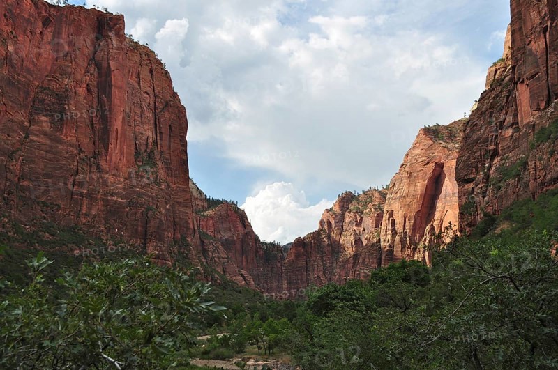 Dramatic rock formations in the red canyon under a cloudy sky, Zion National Park, Utah, USA