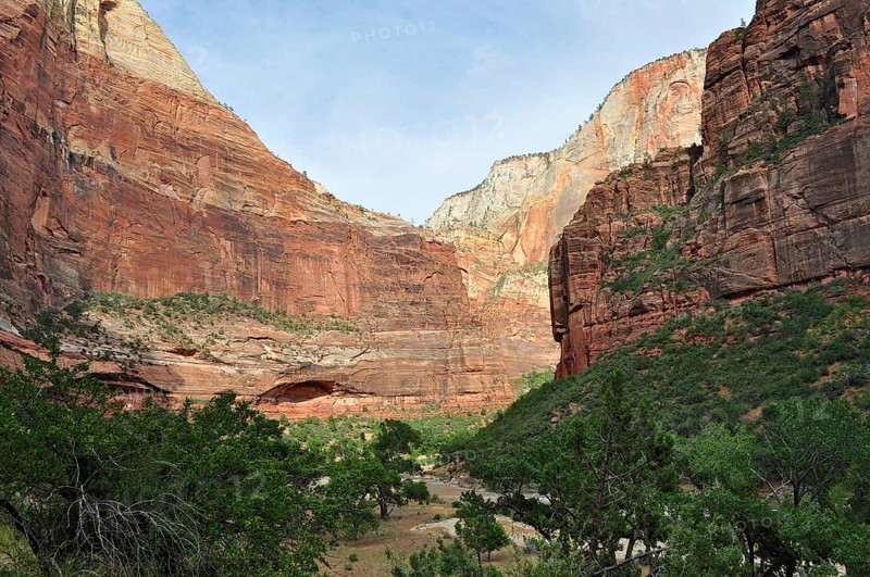 Deep valley view with red rock walls and green vegetation in the foreground, Zion National Park, Utah, USA