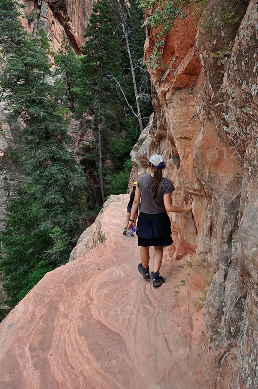 Hiker on a narrow trail to Angel's Landing viewpoint along red rocks surrounded by green trees, Zion National Park, Utah, USA