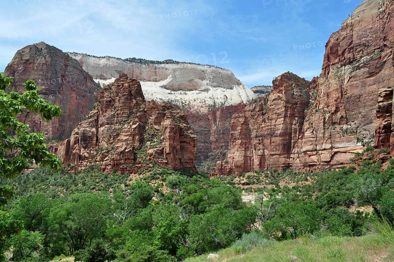Red rocks and green vegetation under a clear blue sky, Zion National Park, Utah, USA