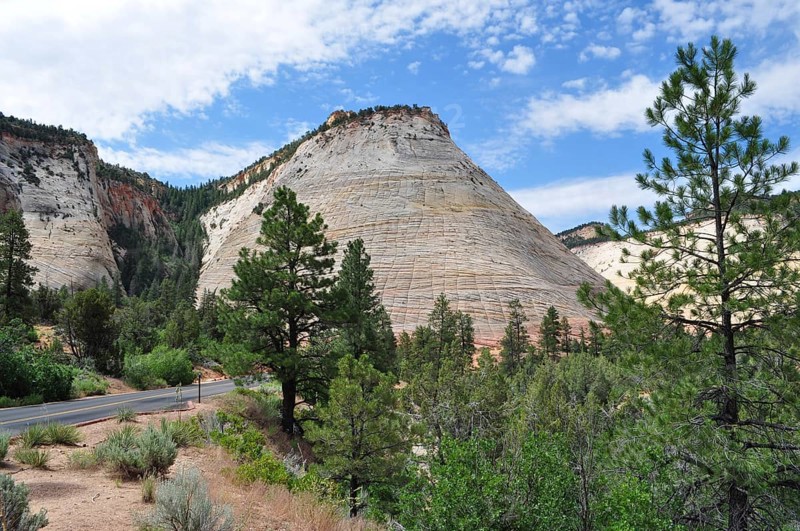 Characteristic hills and geological formations next to a tree-lined road, Zion National Park, Utah, USA
