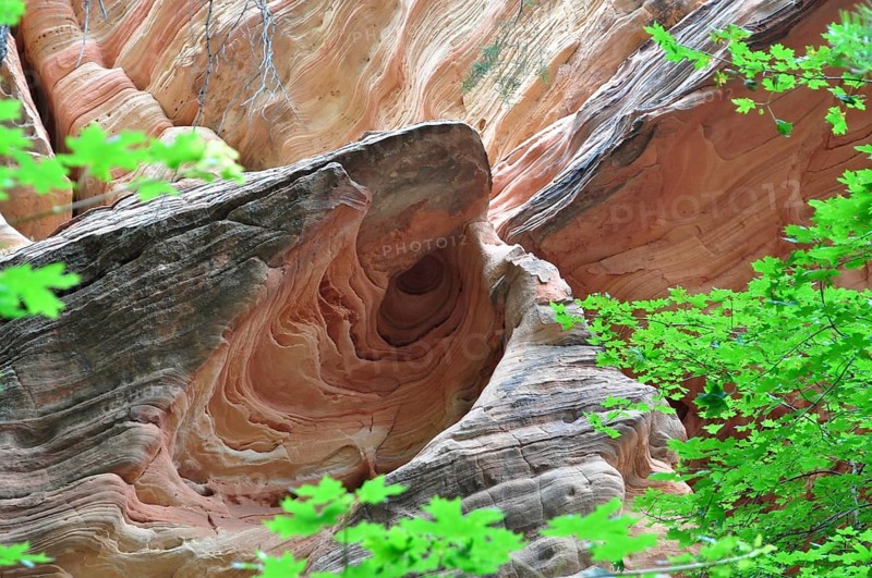 Fascinating rock formation with red sandstone surrounded by green leaves, Zion National Park, Utah, USA