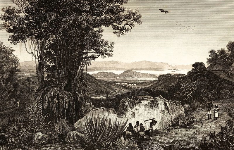 Rio de Janeiro, Brazil, bay, mountains, forest, lianas, nature, agaves, birds, locals, architecture, building, steel engraving, historical illustration 1834