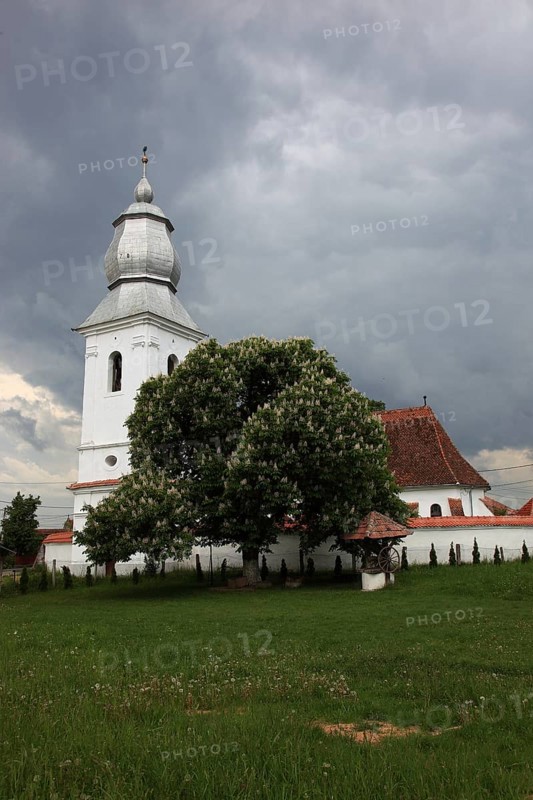 The Reformed Church in Lisznyo, Lisnau, with a blossoming chestnut tree in front, a historic monument in Covasna District, Transylvania, Romania