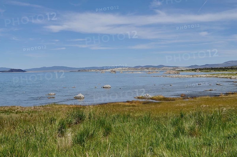 A tranquil shoreline with grassy areas and a blue lake under a clear sky, Lake Natron, Mono Lake, California, USA