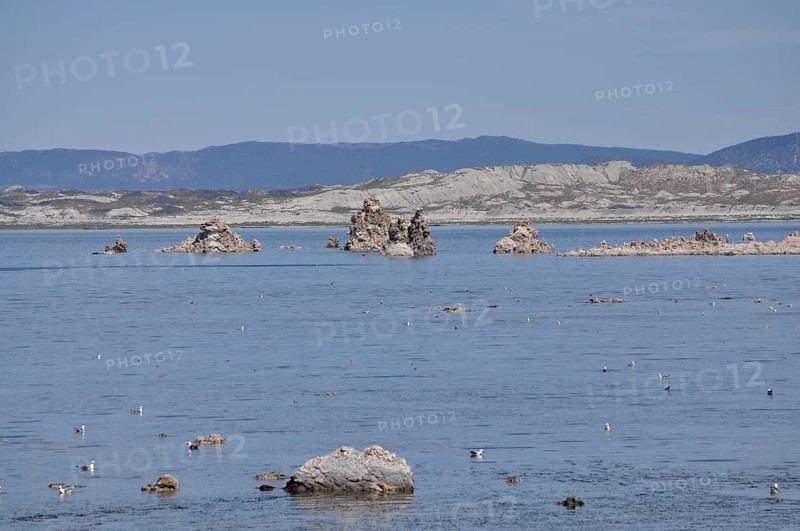 A still lake, Lake Natron, with rocks, limestone formations, and birds, Mono Lake, California, USA