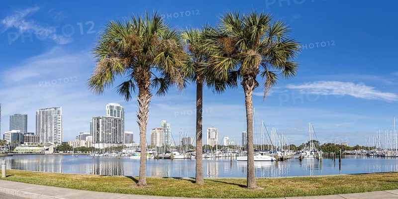 Saint Petersburg Florida Promenade on Tampa Bay Panorama with Palm Trees in Downtown St Petersburg, USA