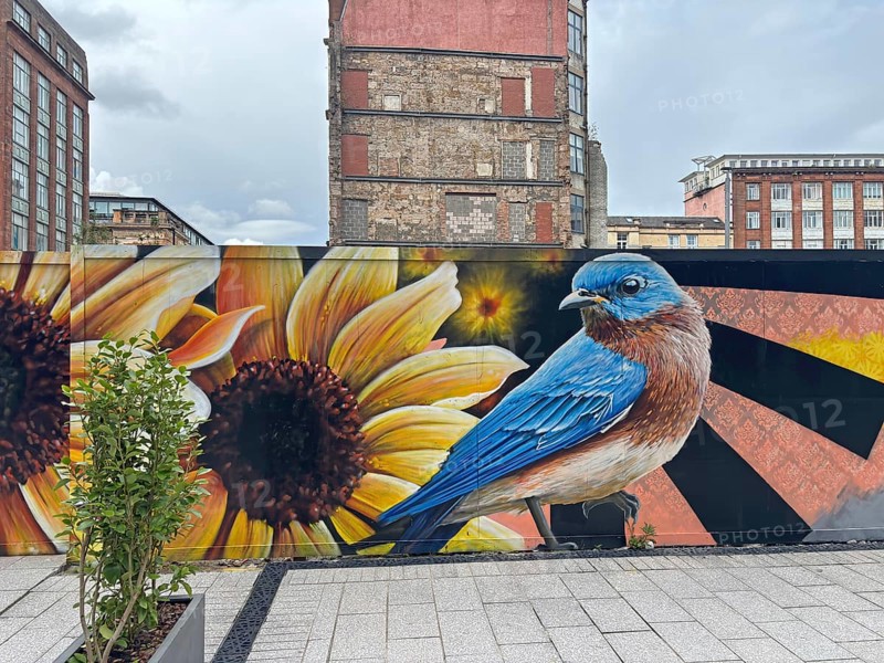Mural of a bird and a sunflower in an urban setting, mural, street art, Glasgow, Scotland, United Kingdom