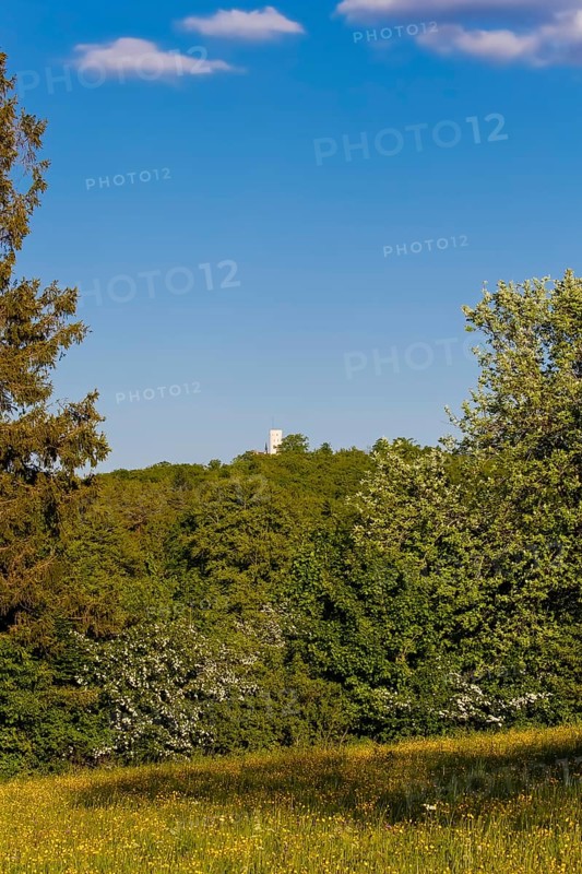 Lime kiln near the fog cave, Lichtenstein Castle in the back, Württemberg fairytale castle, romantic fairytale castle on the eaves of the Swabian Jura, bushes, hills, landscape, Swabian Jura, municipality of Lichtenstein, district of Reutlingen, Baden-Württemberg