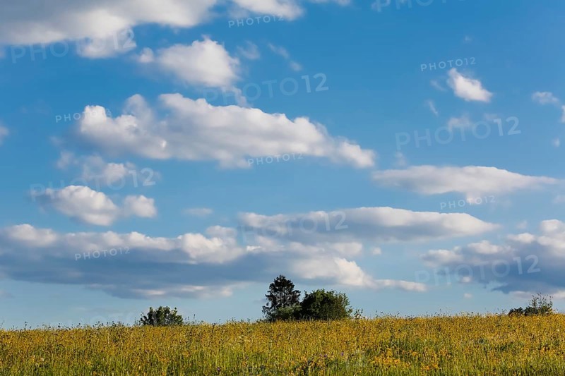 Lime kiln near the fog cave, clouds, sky, expanse, meadow, bushes, hills, landscape, Swabian Jura, Lichtenstein, Reutlingen district, Baden-Württemberg