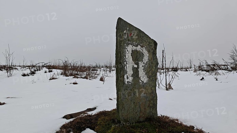 Snowy landscape with an old marker of the Rennsteig hiking trail with the letter R on it, Rennsteig, Thuringia nature park Park