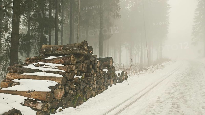 Stacks of wood next to a snowy path in a foggy forest, mystical, quiet atmosphere, Rennsteig, Thuringia nature park Park