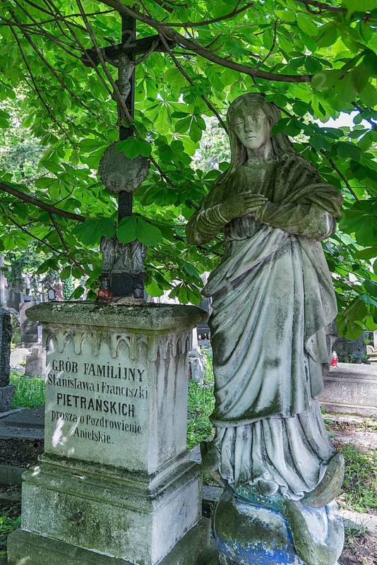 Angel sculpture under a chestnut tree on a family grave, Lützenhofer cemetery Lychakivskiy cemetery, Lviv, Galicia, Ukraine