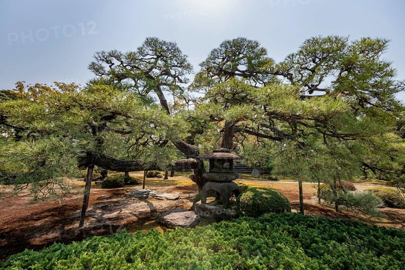 Yukimi-gata, four-legged stone lantern, Ninomaru Garden, former imperial villa, Nijo Castle, Kyoto, Japan