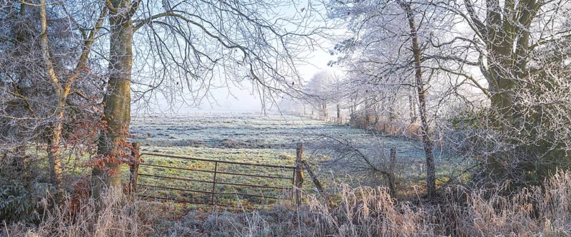 View over a gate to a pasture with the surrounding vegetation wetted with frozen morning dew, Winter, Wehden, Cuxhaven, Lower Saxony, Germany