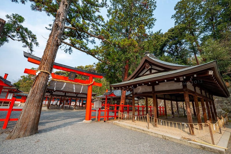 Entrance to the shrine with red torii gate, Yoshida Shrine, Shinto Shrine, Kyoto, Japan