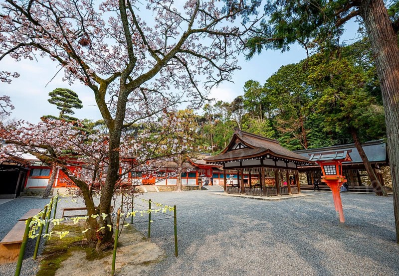 Kagura-den Hall and Sakado, Yoshida Shrine, Shinto Shrine, Kyoto, Japan