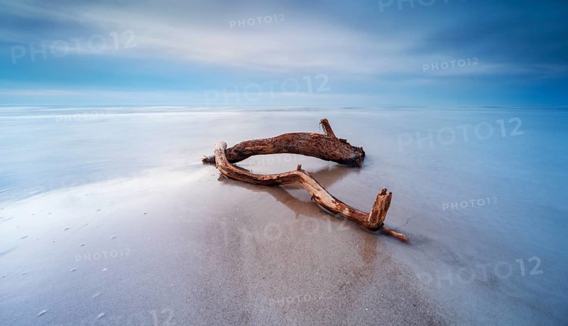 Long exposure, driftwood on sandbar on Baltic Sea beach in the evening, Darß west beach after storm, Fischland-Darß-Zingst peninsula, Western Pomerania Lagoon Area National Park, Mecklenburg-Western Pomerania, Germany
