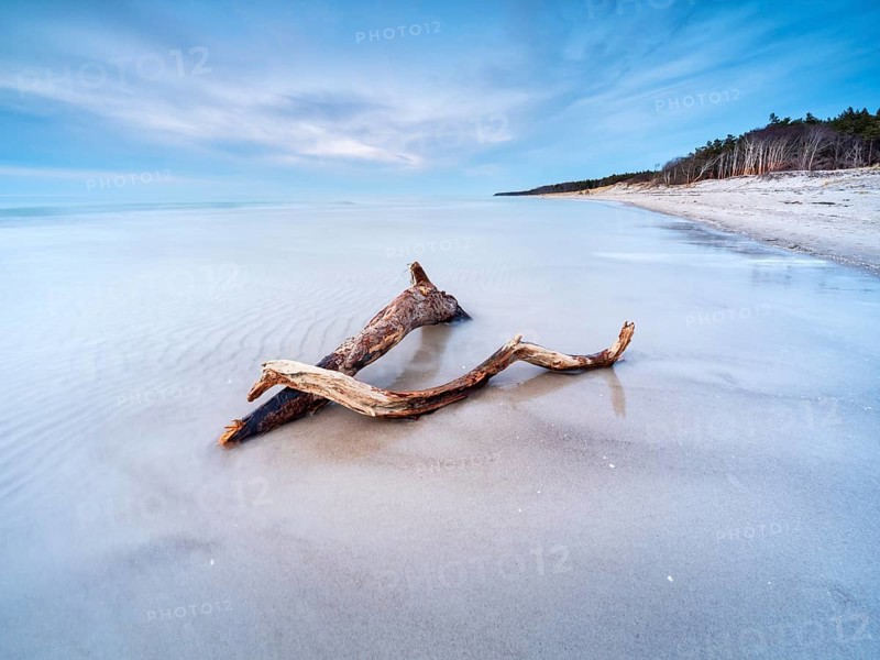 Long exposure, driftwood on Baltic Sea beach in the evening, Darß west beach after storm, Fischland-Darß-Zingst peninsula, Western Pomerania Lagoon Area National Park, Mecklenburg-Western Pomerania, Germany