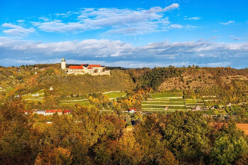 View of Neuenburg Castle and the Ducal Vineyard in autumn, Freyburg, Burgenlandkreis, Saxony-Anhalt, Germany