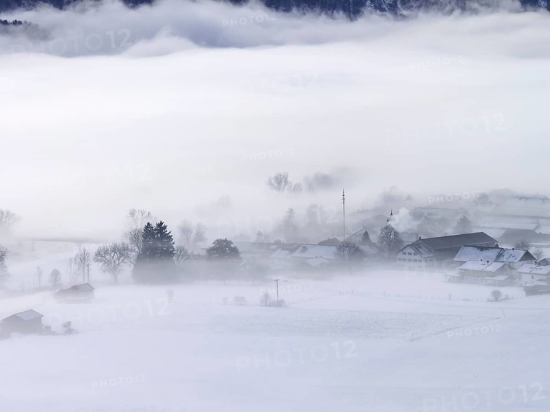 Village, houses, farms, maypole, fog, high fog, winter, cold, snow, Schlehdorf, Alpine foothills, Bavaria, Germany