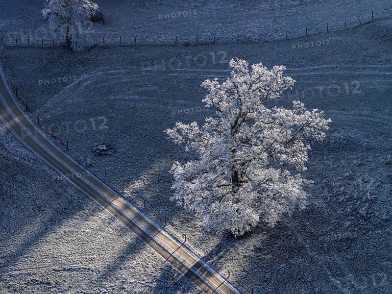 Winter landscape, hoarfrost, cold, tree, winter, sunny, aerial view, foothills of the Alps, Bavaria, Germany