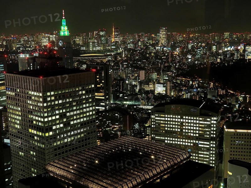 Nocturnal view of a city with twinkling lights and tall buildings, Tokyo, Japan