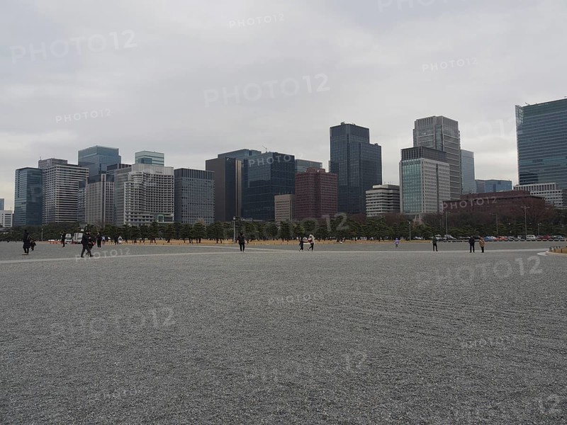 Cityscape with skyscrapers under a grey sky surrounded by a wide plain, Kokyo-gaien, Tokyo, Japan