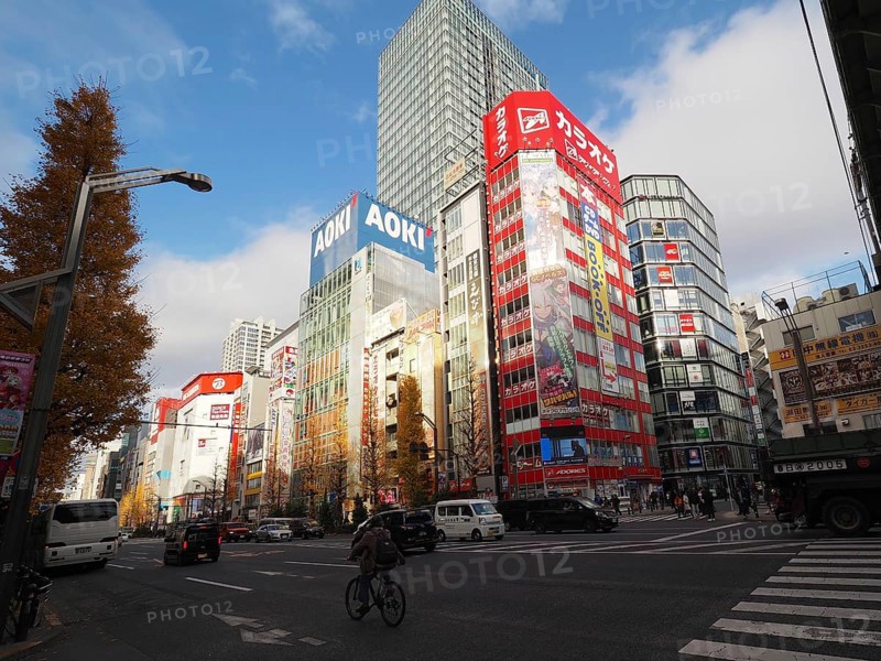 City view with modern skyscrapers and autumn trees under a cloudy blue sky, Akihabara Electric Town, Tokyo, Japan