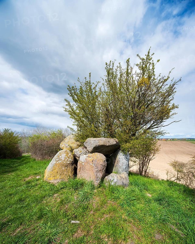 Megalithic grave, megalithic grave near Mürow near Angermünde, Brandenburg, Germany