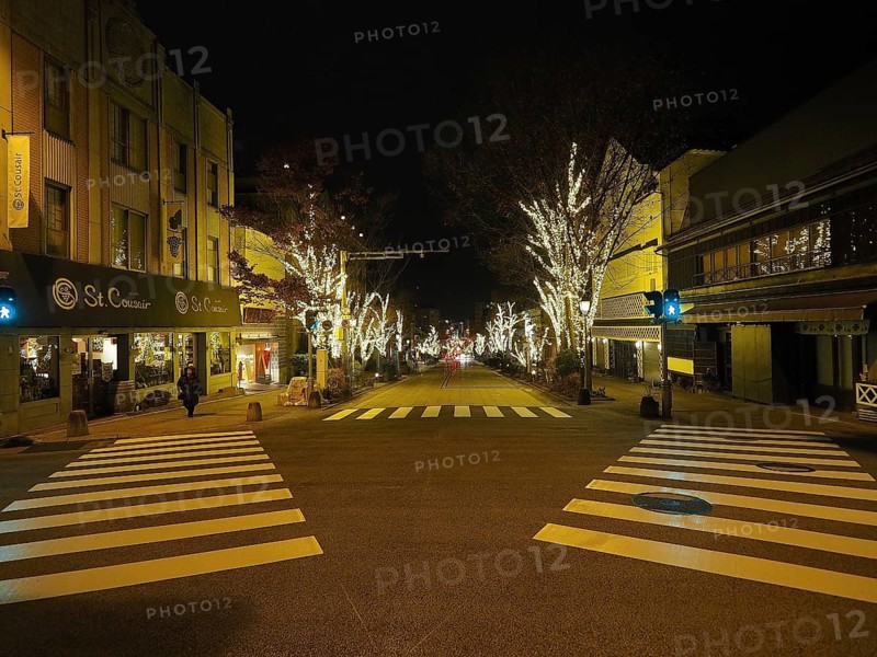 Illuminated trees line a city street at night, a quiet urban scene, Chuo-dori street, Nagano, Japan