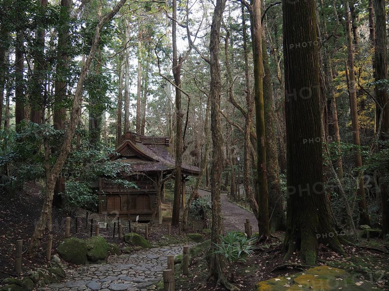 Quietly located wooden cabin surrounded by a thick forest, Narita-san Park, Narita, Japan