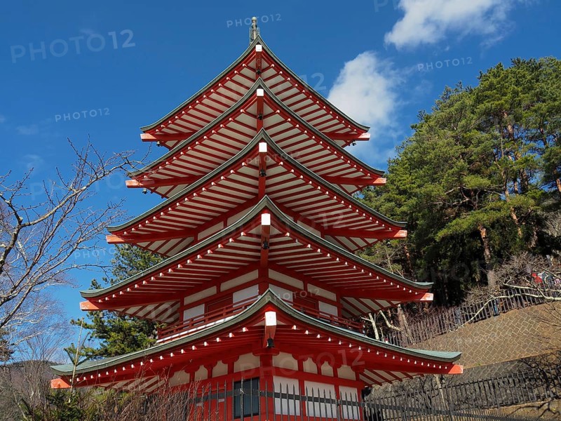 Chureito pagoda against blue sky surrounded by green trees, Kawaguchiko, Japan